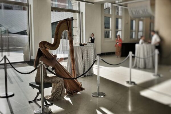pro-harpist-for-weddings-mighty-fine-events