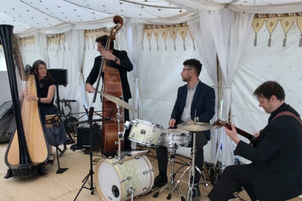 wedding-harpist-with-band-mighty-fine-events-luxury-entertainment